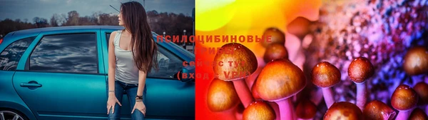 СК Лихославль