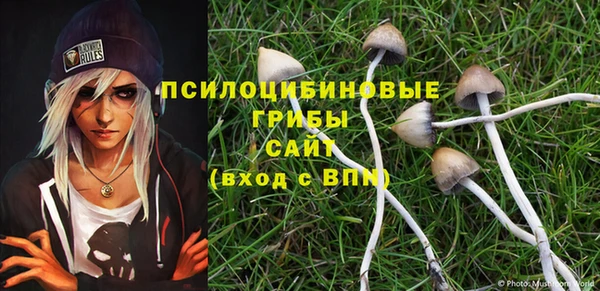 винт Ладушкин