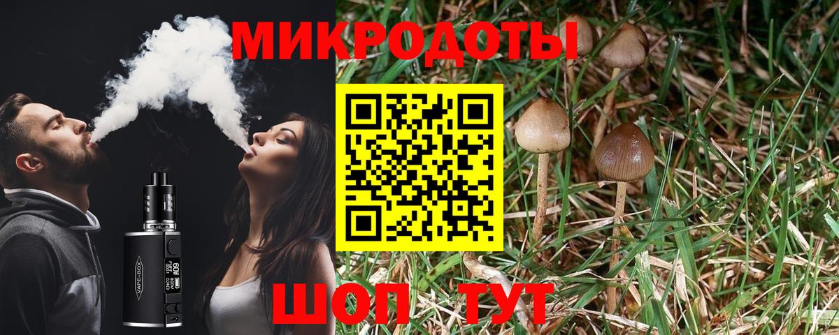 Липецк  Галлюциногенные грибы MAGIC MUSHROOMS  Вход с VPN 